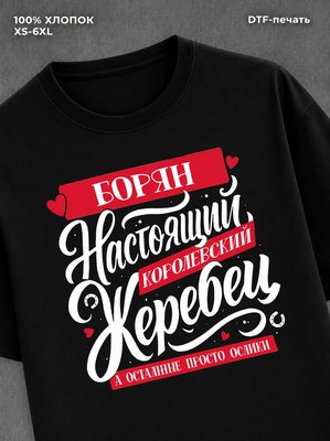 Футболка Имя Боря