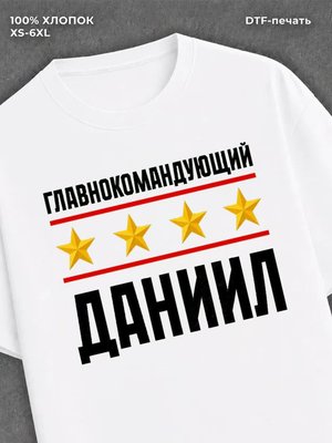 Футболка мужская именная главно