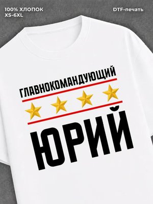Футболка мужская именная главно