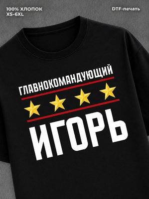 Футболка мужская именная главно