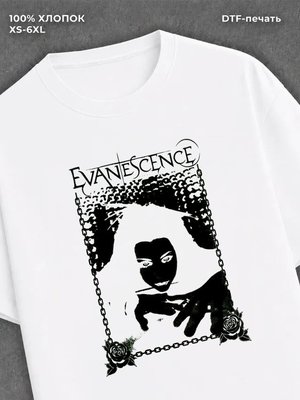 Футболка evanescence