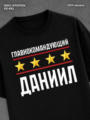 Футболка мужская именная главно
