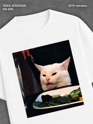 Футболка Кот с кроссовком