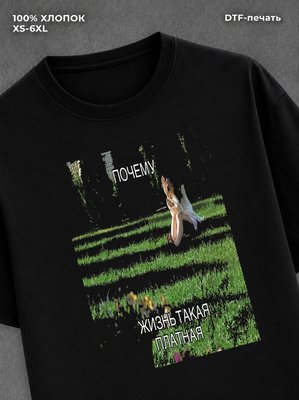 Футболка Мемы 2026