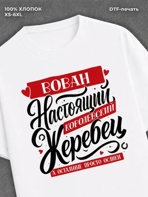 Футболка Имя Вова