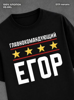 Футболка мужская именная главно