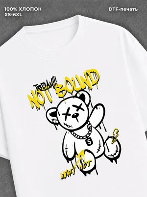 Футболка Футболка прикольная медведя not bound