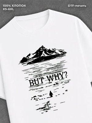 Футболка пингвин but why
