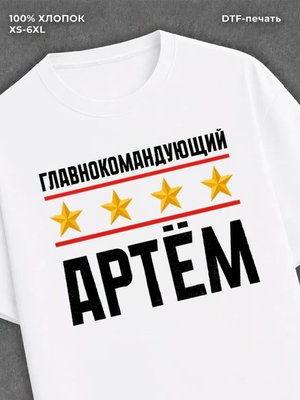 Футболка мужская именная главно