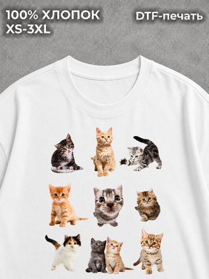 Футболка Котики