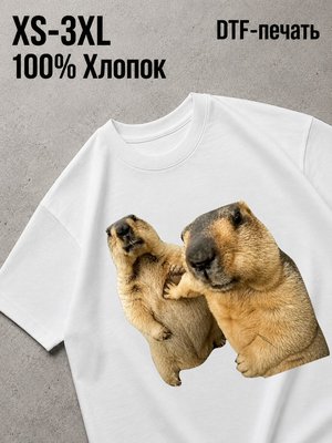 Футболка Мемы