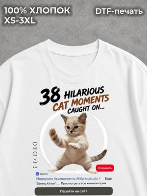 Футболка Котики