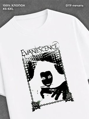 Футболка evanescence