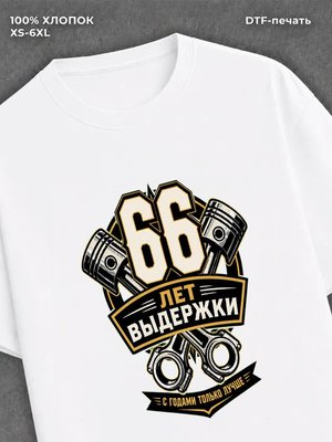 Футболка 66 лет
