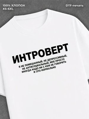 Футболка Интроверт