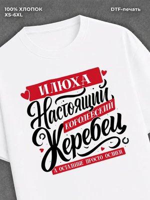 Футболка Илья