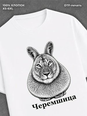Футболка Черемшица