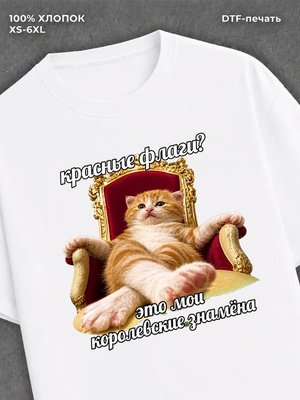 Футболка cat meme