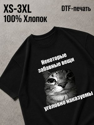 Футболка мем некоторые вещи наказуемы