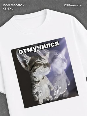 Футболка cat meme