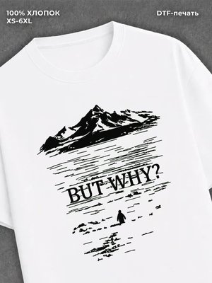 Футболка пингвин but why