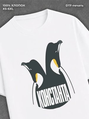 Футболка Константа Словетский