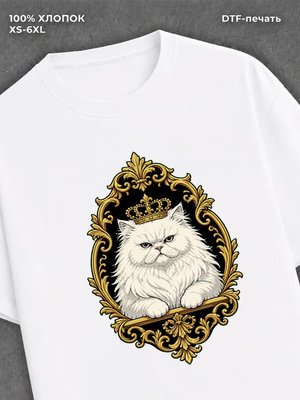 Футболка кота в рамке