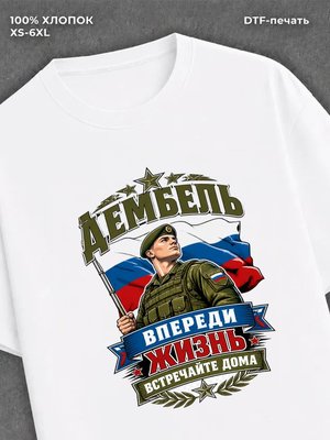 Футболка дембель встречайте дома