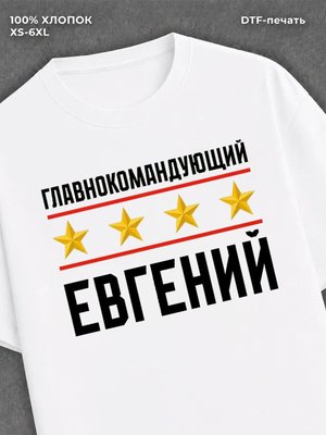 Футболка мужская именная главно