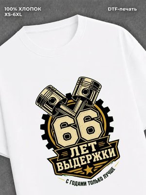 Футболка 66 лет