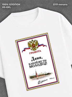 Футболка Даня Даниил Данил