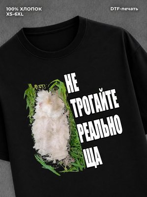 Футболка удлиненная