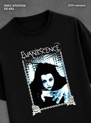 Футболка evanescence