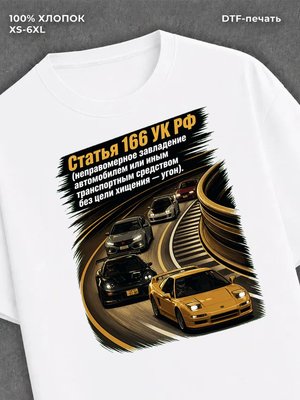 Футболка Статья 166 УК РФ