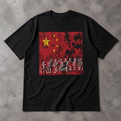 Футболка y2k china archive indie sleaze type 1 шт flat_lay
