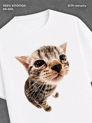 Футболка cat