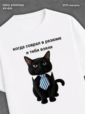 Футболка кот мем