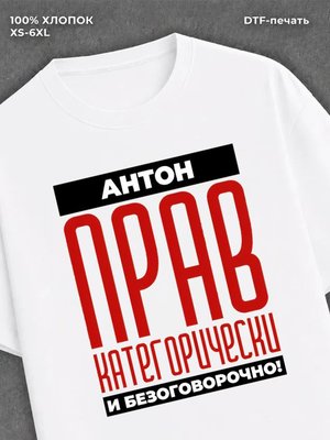 Футболка прикольная именная Антон