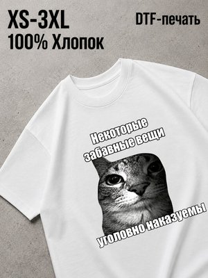 Футболка мем некоторые вещи наказуемы