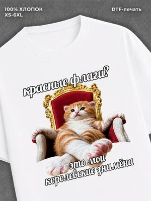 Футболка cat meme