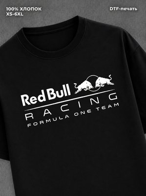 Футболка formula one max verstappen