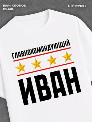 Футболка мужская именная главно