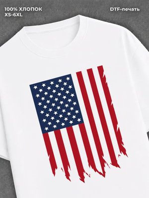 Футболка Флаг сша