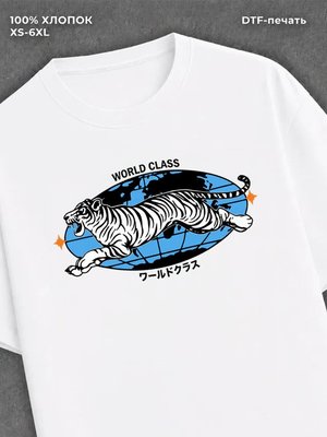 Футболка world glass